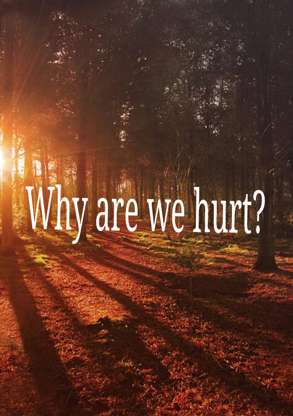 Why-are-we-hurt_
